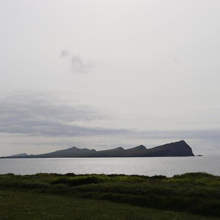 The Old Pier Guest Accommodation, Bed Only, No Breakfast Ballydavid Exterior foto